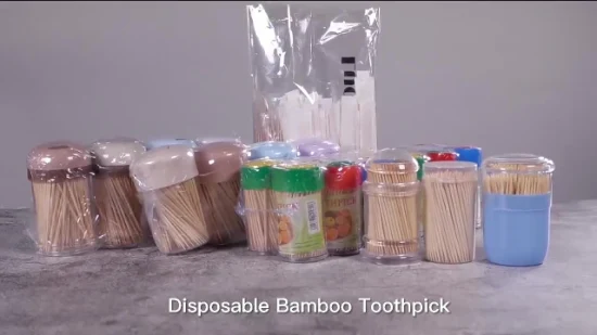 Good Quality Bamboo Toothpick Disposable Custom in Plastic Tube